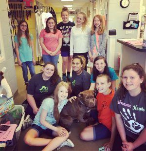Youth Volunteer Opportunities | Talbot Humane