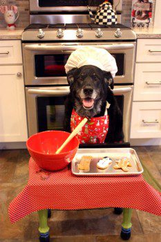 My-friends-dog-baking-Christmas-Cookies.